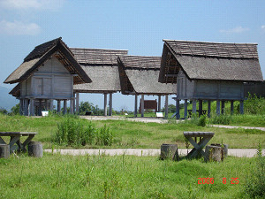 a0076594_11531916.jpg