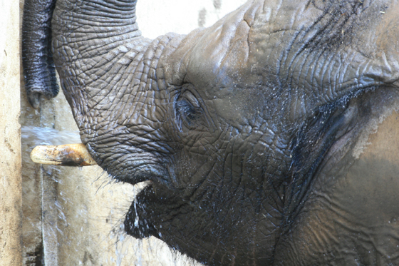 元気です!_b0016600_1322626.jpg