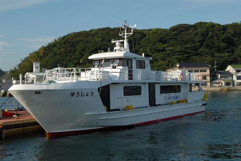クロツバメシジミ 馬渡島 佐賀県 虫とり日記3 クロツバメシジミ 馬渡島 佐賀県 虫とり日記3
