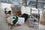 d0051614_10152944.jpg