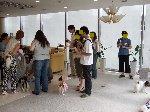 d0051614_10361543.jpg