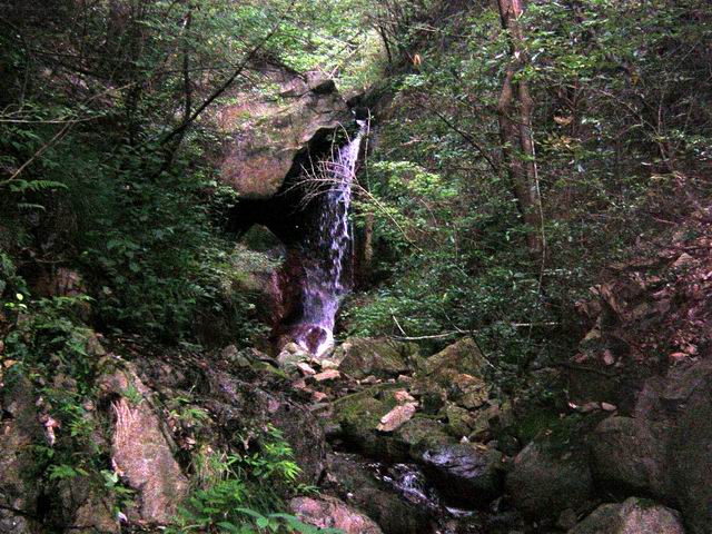 c0029332_21334669.jpg