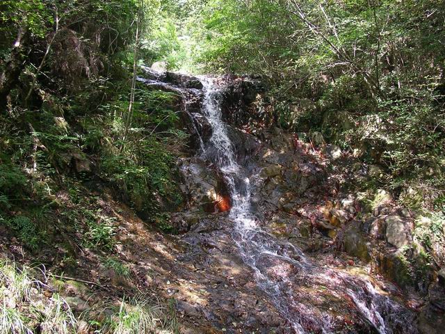 c0029332_2134496.jpg