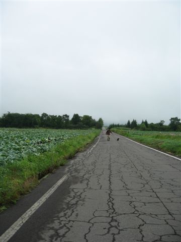 f0002532_271131.jpg