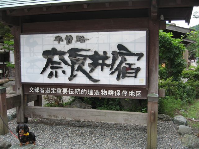 f0002532_3483811.jpg