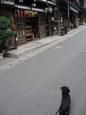 f0002532_3541842.jpg