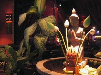b0025850_2139287.jpg
