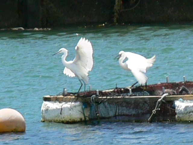 c0059854_22431113.jpg