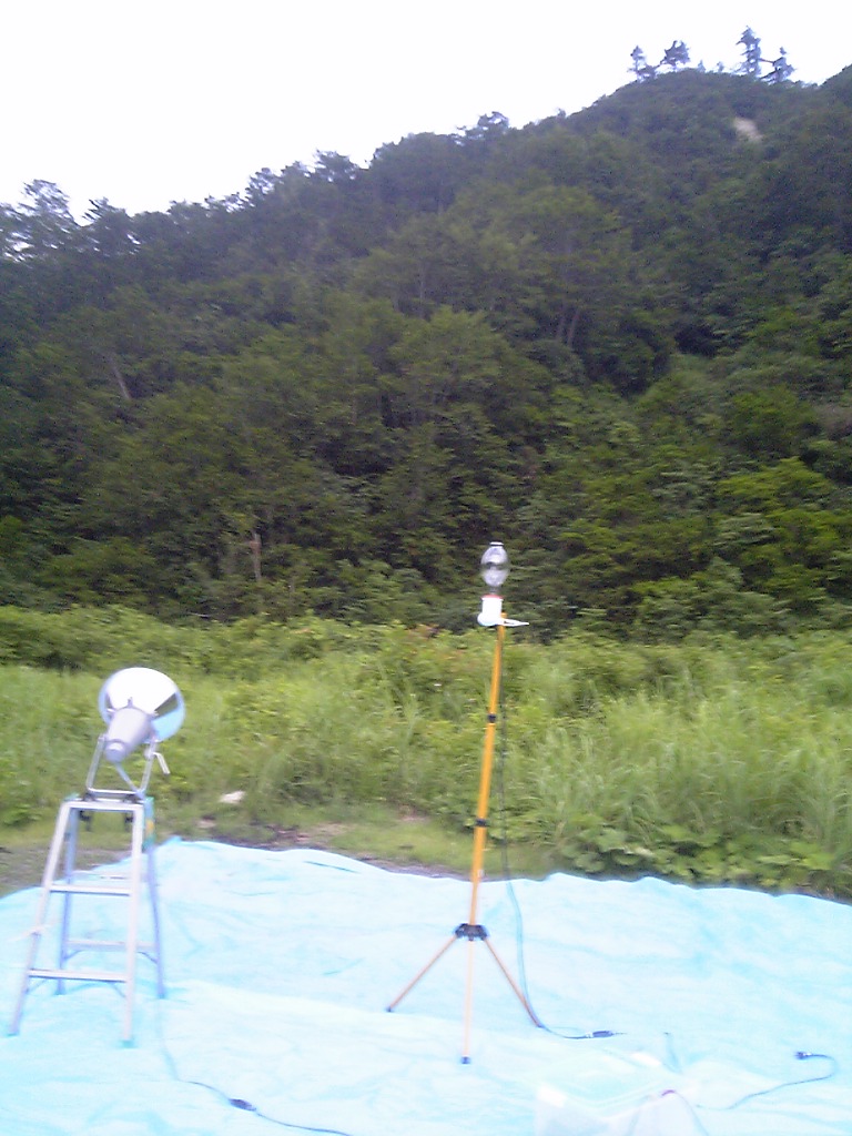 d0016155_2123572.jpg