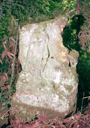 福島県の来迎石仏・板碑（19）_e0018762_2040871.jpg