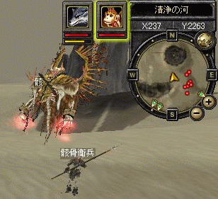 Lv71 最後の賭け_f0091762_018759.gif