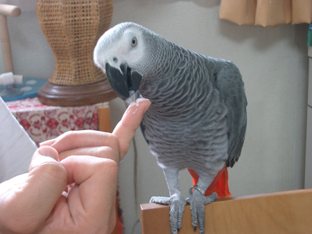 c0004078_23481646.jpg
