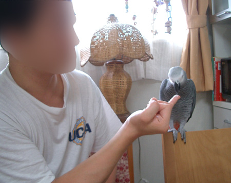 c0004078_23482171.jpg