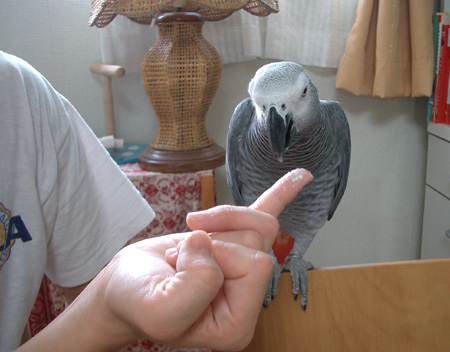 c0004078_23482624.jpg