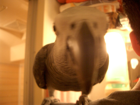 c0004078_23484676.jpg
