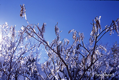 初・雪山_a0053783_11493193.jpg