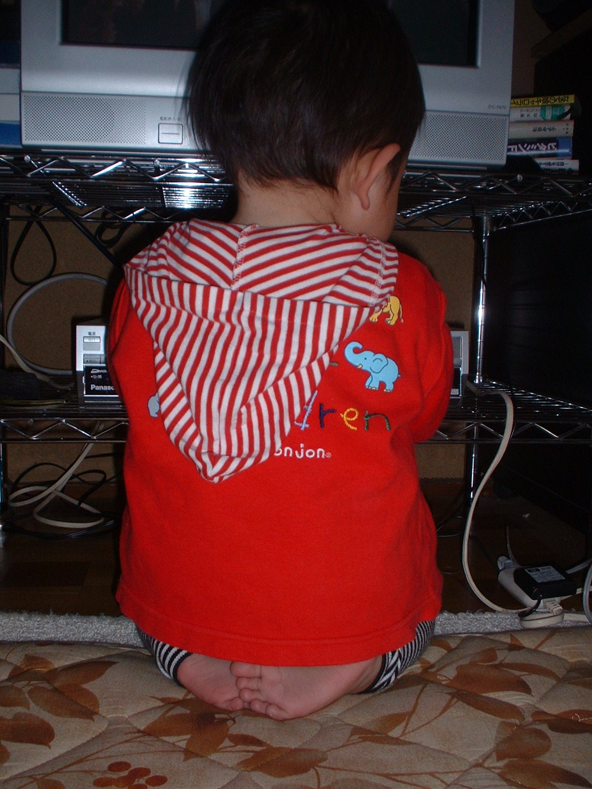 c0092700_9813.jpg
