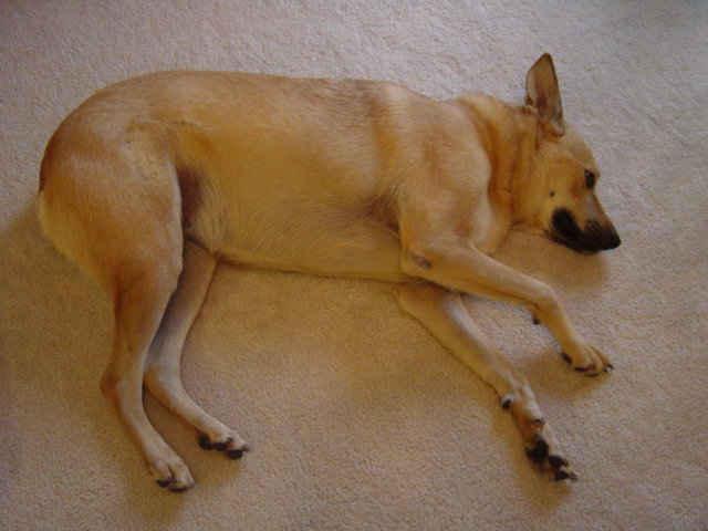 c0079011_10472174.jpg