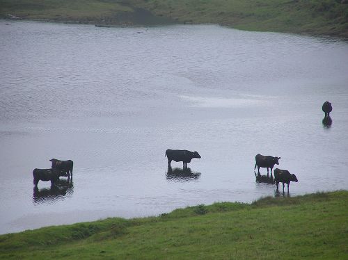 阿蘇草千里ヶ浜 つかの間九州① ~熊本阿蘇市~_c0055515_2393171.jpg
