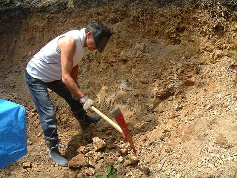 f0090444_2052331.jpg