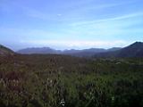 e0040452_11135997.jpg