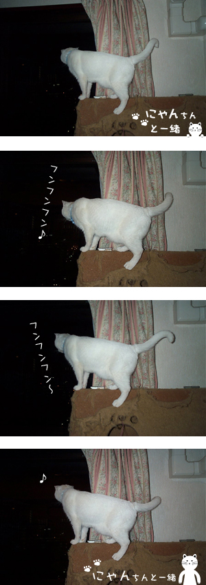 鼻歌まじりでしっぽブンブン♪_e0031853_15224560.jpg