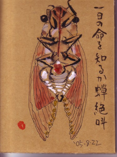 短い命　蝉_e0074955_9342259.jpg