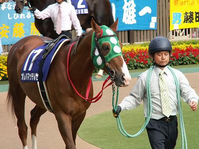 オレハマッテルゼ 06 安田記念 その10 愛しのサラブレッド写真館 オレハマッテルゼ 06 安田記念 その10 愛しのサラブレッド写真館
