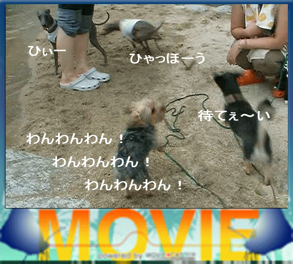b0097394_14248.gif