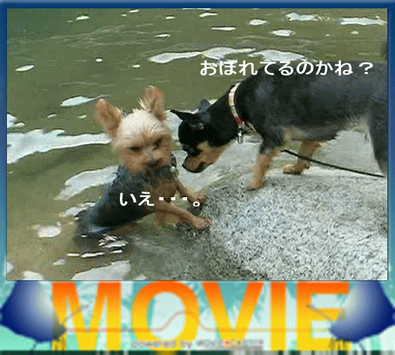 b0097394_1531315.gif