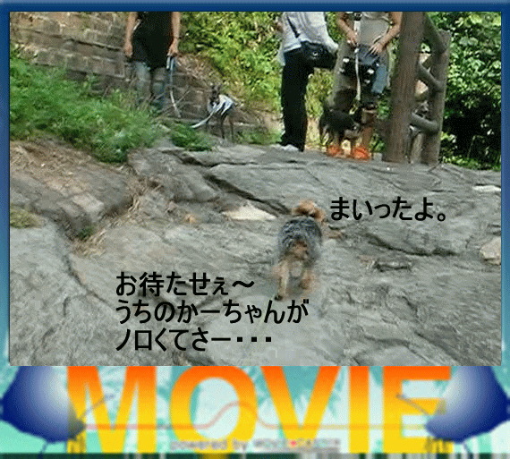 b0097394_252122.gif