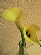 d0083296_16573112.jpg