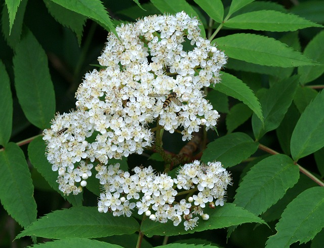 e0039703_22112247.jpg