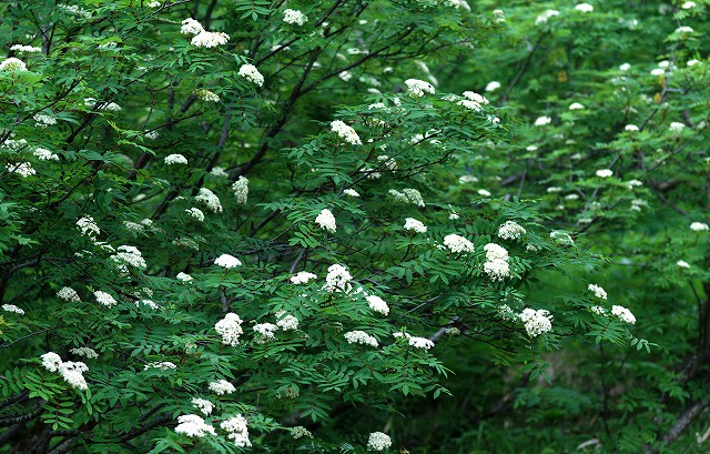 e0039703_2219304.jpg