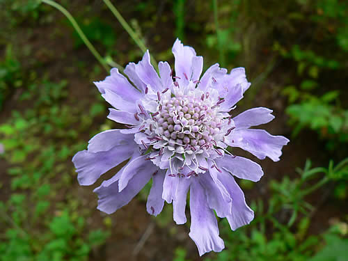 d0035104_10422472.jpg