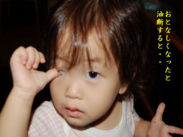 e0094407_1249475.jpg