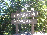 d0075131_041777.jpg