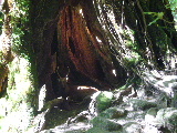 d0075131_09302.jpg