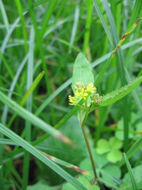 b0088037_858139.jpg