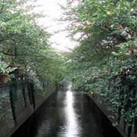 ＊すきなこと＊　　2006,8,28_a0030038_112634.jpg