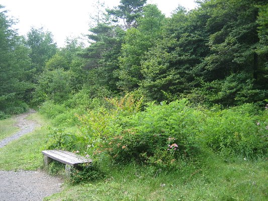 e0082045_16355021.jpg