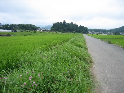 e0082045_16365578.jpg