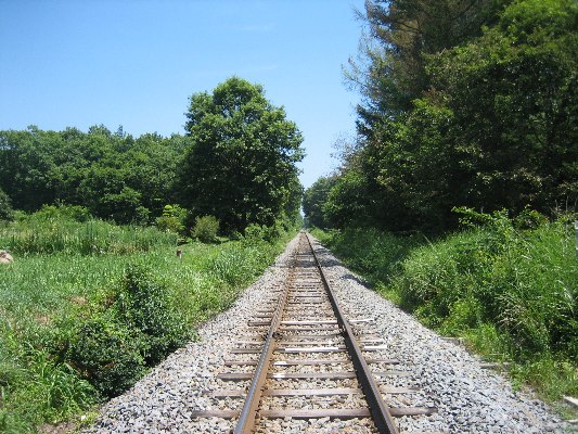 e0082045_16382790.jpg