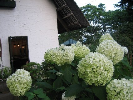 e0082045_164046100.jpg