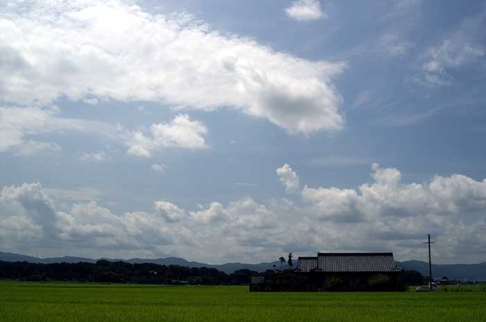e0019563_2142138.jpg