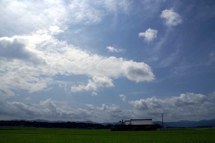 e0019563_2215437.jpg