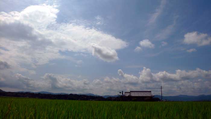 e0019563_2255645.jpg