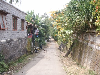 f0002265_11462480.jpg