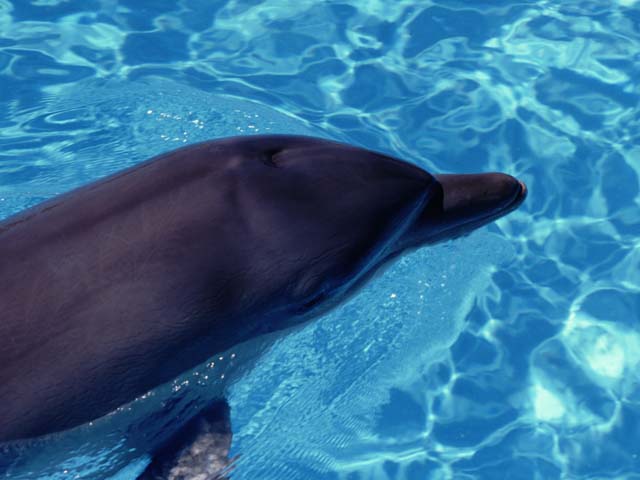 d0047569_21504973.jpg