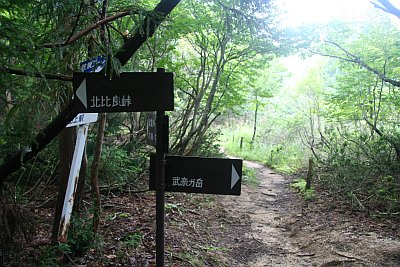 雨男、武奈ケ岳を登る。　その３_f0073587_22967.jpg